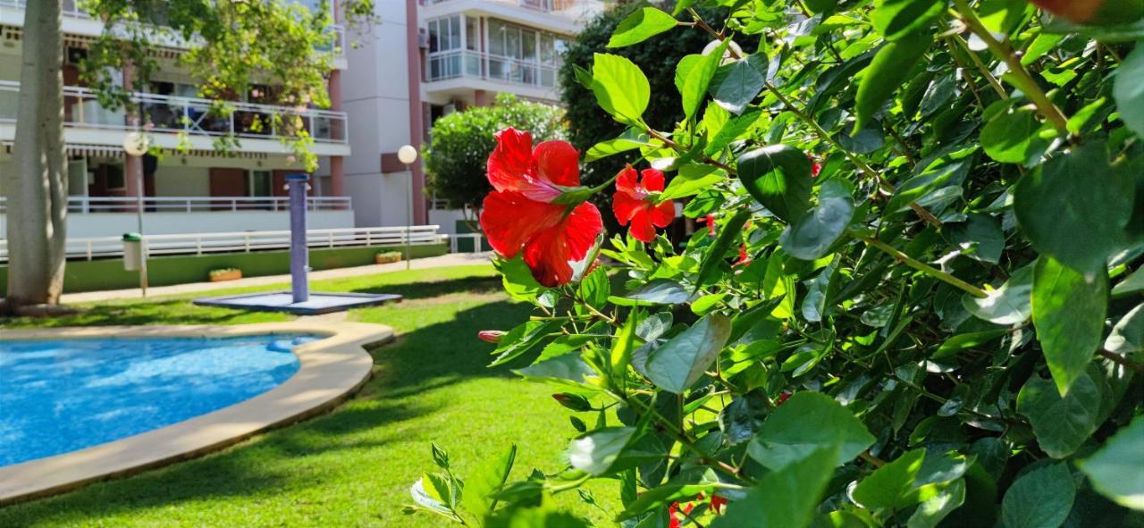 Apartamento Dianium By Denia Costa Ngoại thất bức ảnh